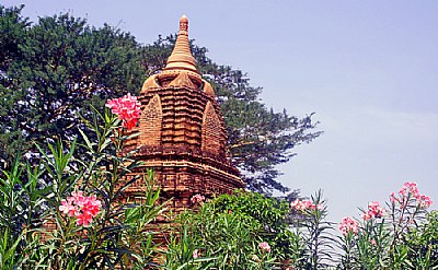 Temple & Flowers