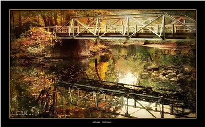 Crossing Autumn