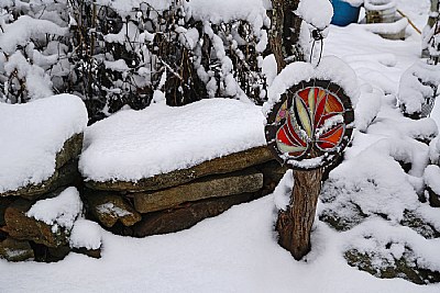  Snow blossom