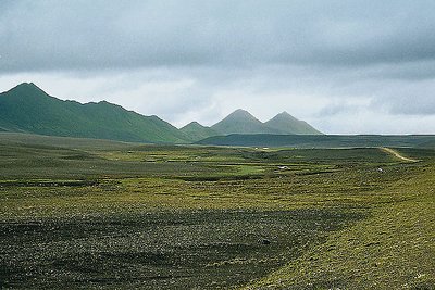 The Iceland Desert