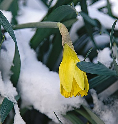 fighting against the cold