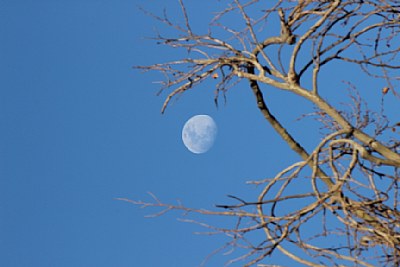 "Catching the Moon"