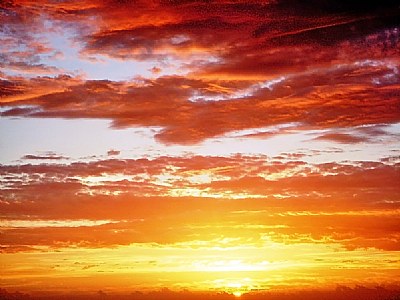 New Day