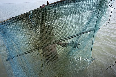 caught in your fishing net
