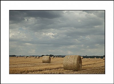 Harvest Time #2