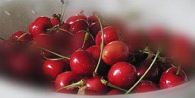 fresh Cherries