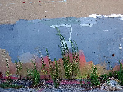 Painted Desert #1