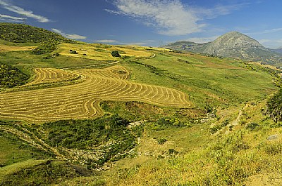  Haylines and Mountain