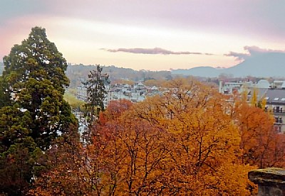 City & Trees