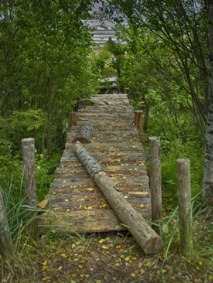The forgotten wooden bridge.