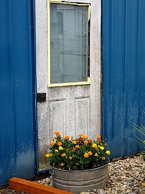 Marigolds & Door