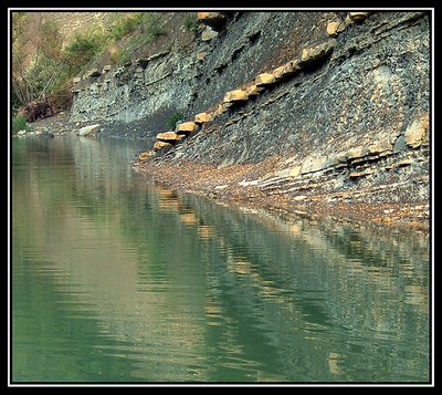 Reflection in the lake