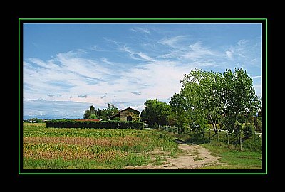 Isola della Cona 3