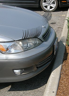 Eye Lash Car