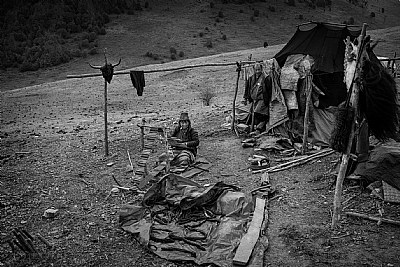 Yak Herders Phobjikha Valley Bhutan