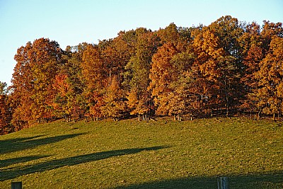 long shadows