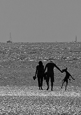 Fun at the seaside