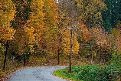 Old Backroads 