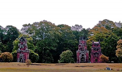 Remains & Trees