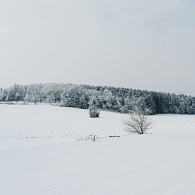 snowland