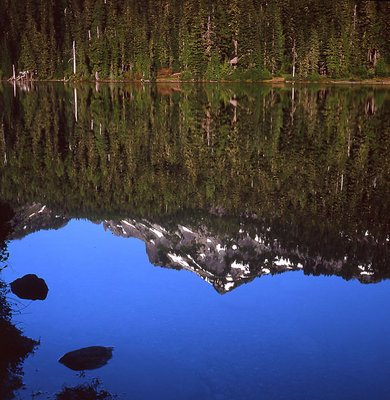 Rainier on Calm Waters