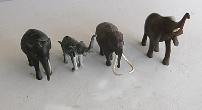 Pachyderms