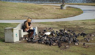 "Feeding Time"