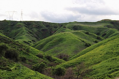 "Green Hills"