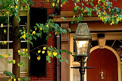 Lamp Post & Leaves