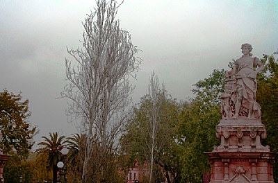 Trees & Architecture