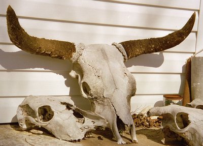 Texas Porch Ornaments