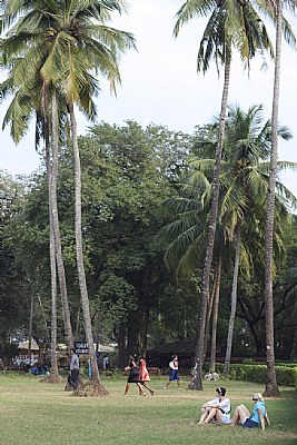 goa church