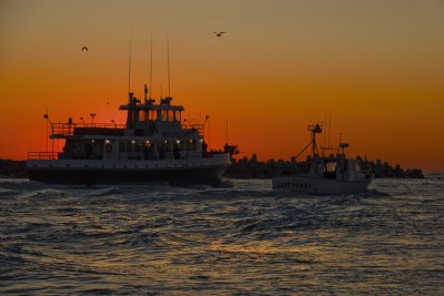 Sunrise Fishing