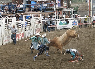 Bull Riding