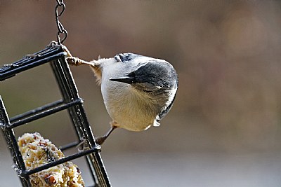 hangin' on