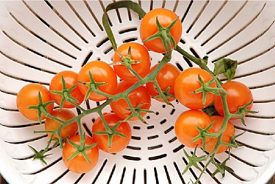 Cherry Tomatoes