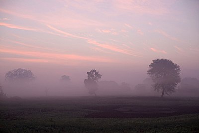 early morning mist