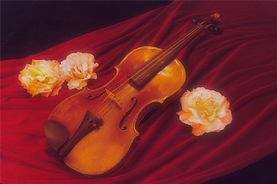 Violin with Roses