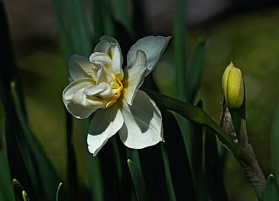 yellow to white