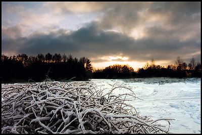 Winter scenery