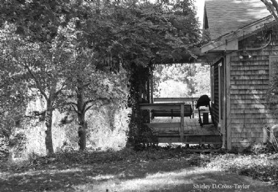 Back Porch