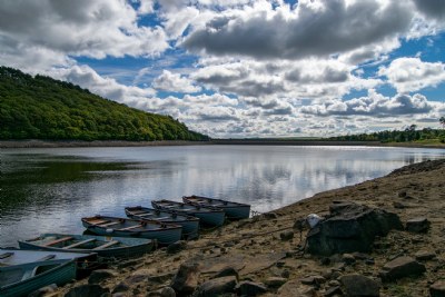 Tunstall Reflections