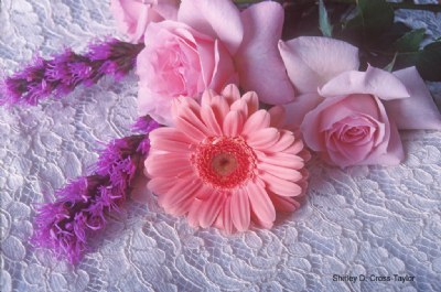 Bouquet on Lace