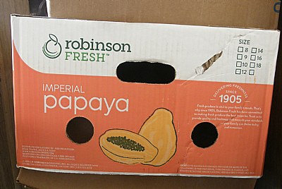 PAPAYA