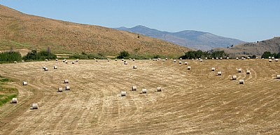 ROLLED BALES