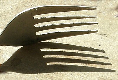 FORK SHADOW