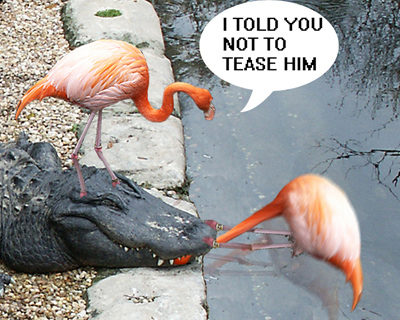  I TOLD YOU NOT TO TEASE HIM !