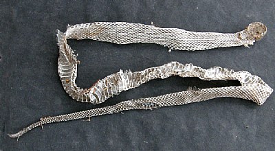 SNAKE SKIN