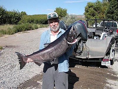 30 POUND CHINOOK