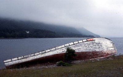 Upturned Boat